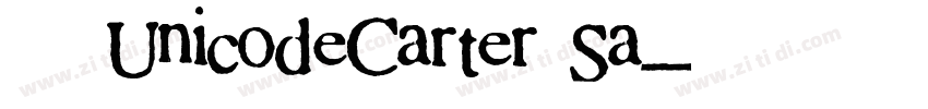 已激活UnicodeCarter Sa字体转换